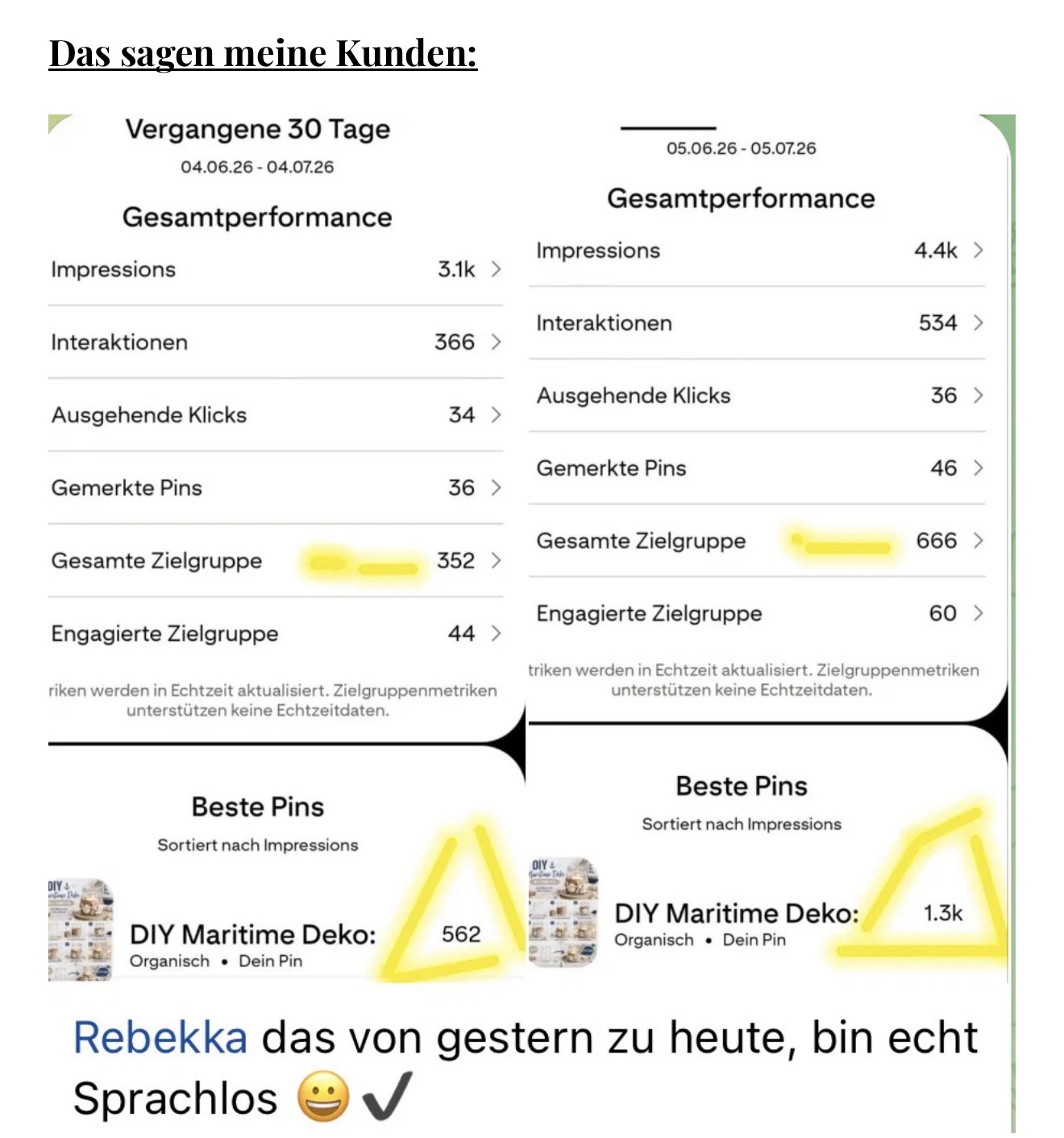 Kundenergebnis mit gestiegenen Pinterest Impressionen
